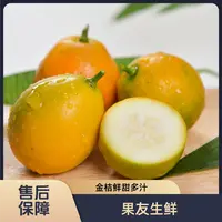 【脆蜜金柑】甜蜜 新鲜 箱装带箱2斤左右 太原晋中吕梁忻州拍