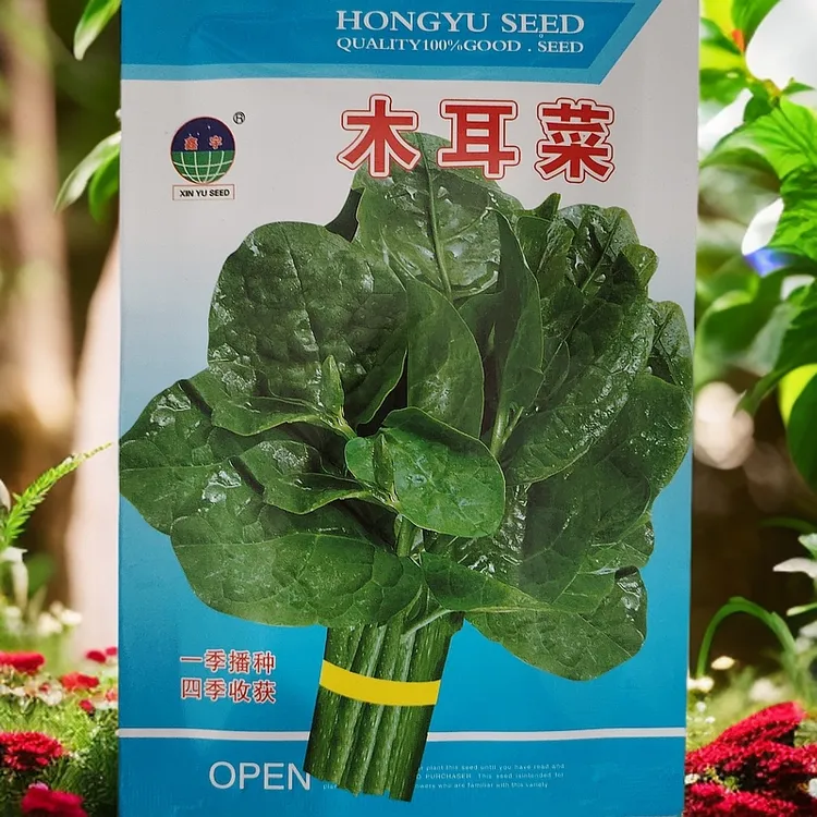 木耳菜种子（拍一发二）10克左右