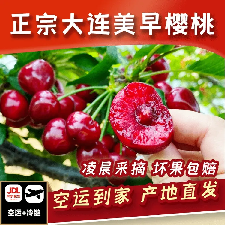 京东/顺丰空运正宗美早大樱桃包邮2-5斤直销