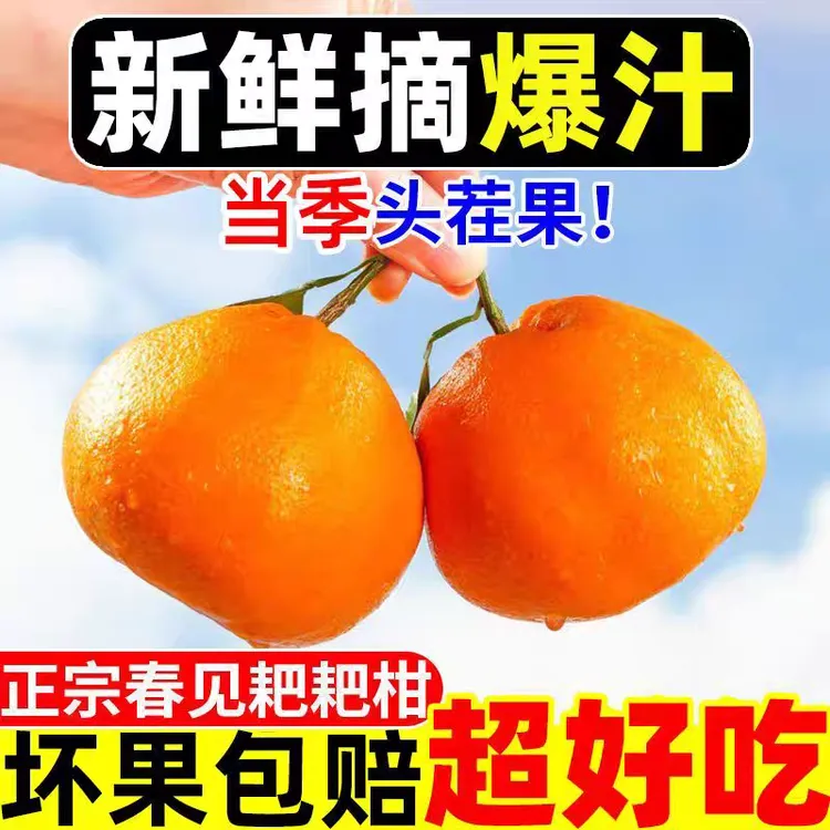 四川春见当季高山耙耙柑粑粑柑正宗新鲜应季水果爆汁香甜手剥橘子
