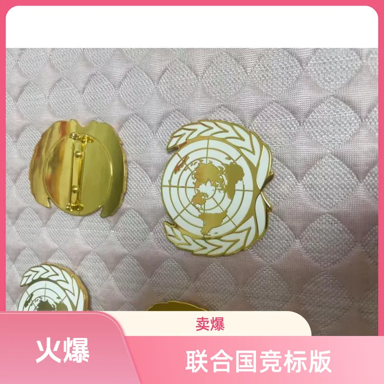 25款联合国竞标版本标准尺寸维和帽徽弧形配件 镀金珐琅金属别针