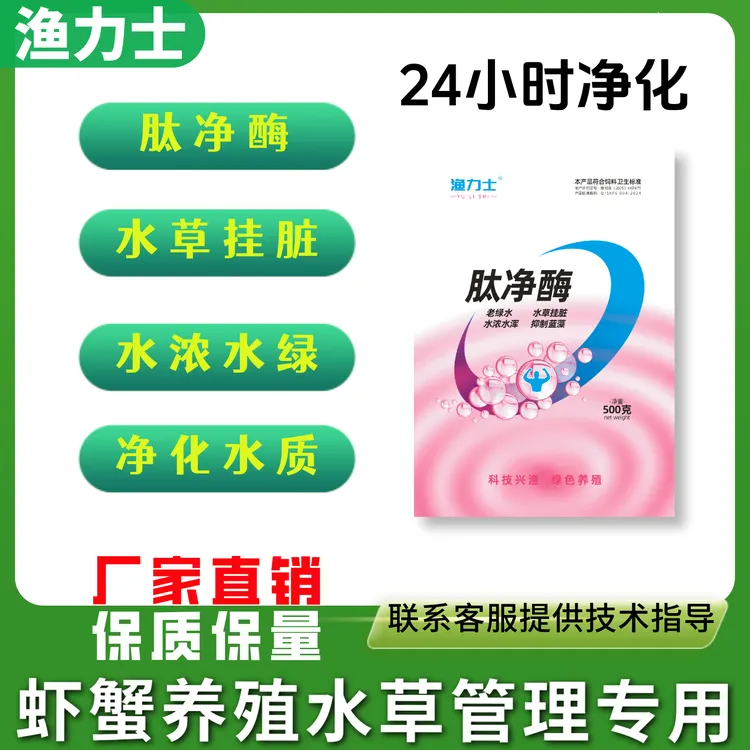 生物肽净酶 净化水草有机质挂脏 处理水浓水绿 净化老绿水 