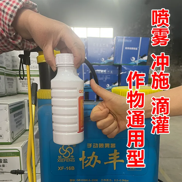 【500克大瓶高效款】新升级配方现货速发园艺果蔬大田肥植保专用