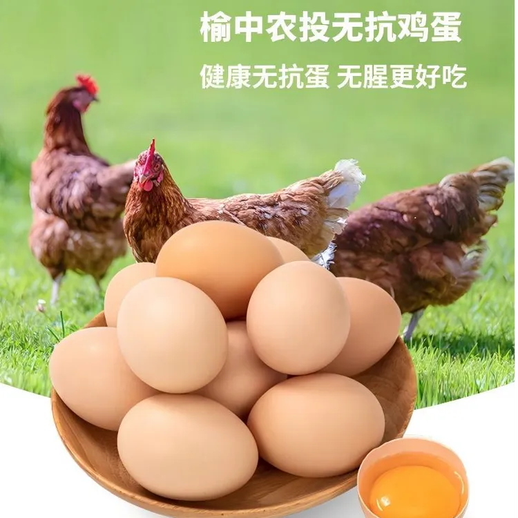 【无抗·鲜鸡蛋】榆中农投大型农场笼养原谷物鸡蛋无腥味口感醇香