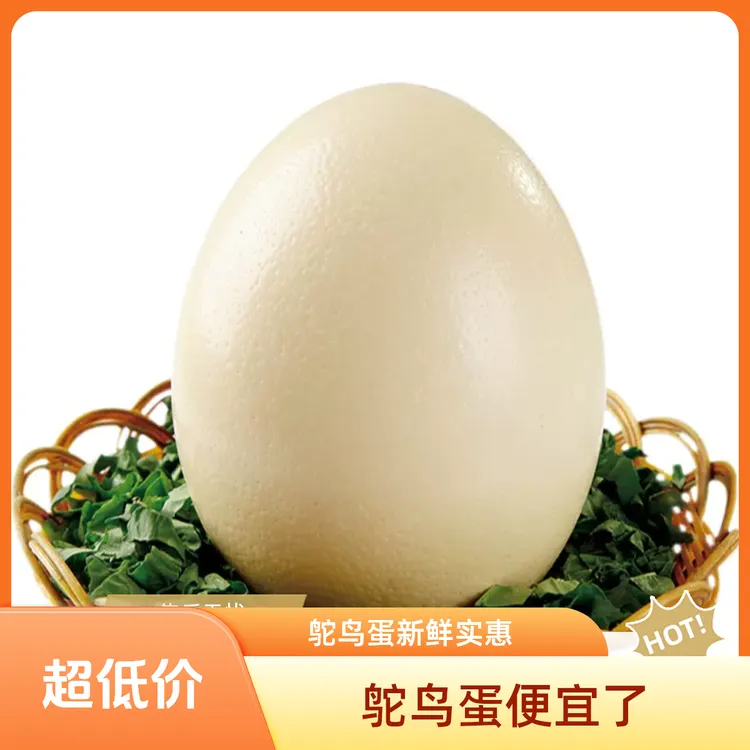 【鸵鸟蛋】送礼实惠养殖礼盒中秋送礼大号新鲜