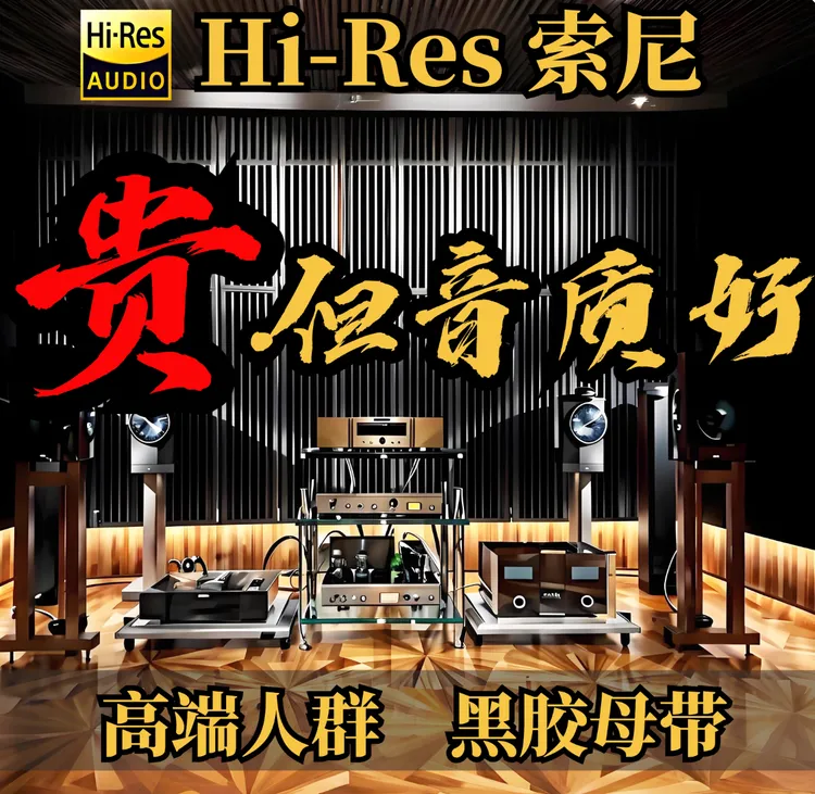 发烧大牌榜24bit 192k发烧音乐U盘车载音乐U盘