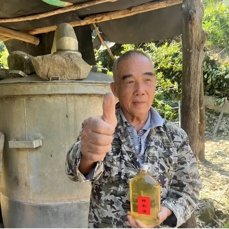 亮仔樟木油岭南土法蒸馏天然香樟木油樟脑樟树油正宗农家品质