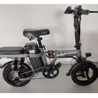 还未改价，勿拍，补贴价马上上架-凤凰高端电动车