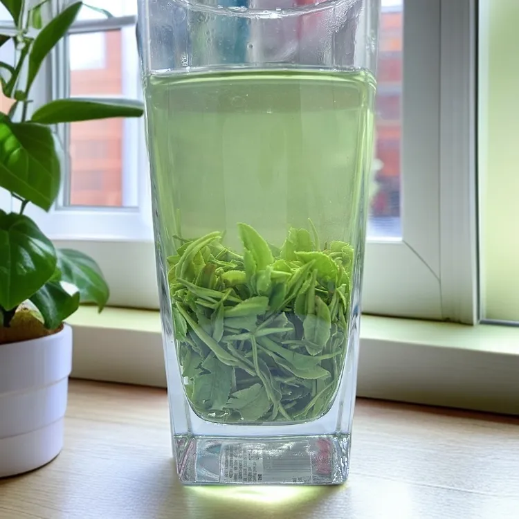 2025保康店垭高山云雾绿茶浓香型一芽一叶毛尖礼盒袋