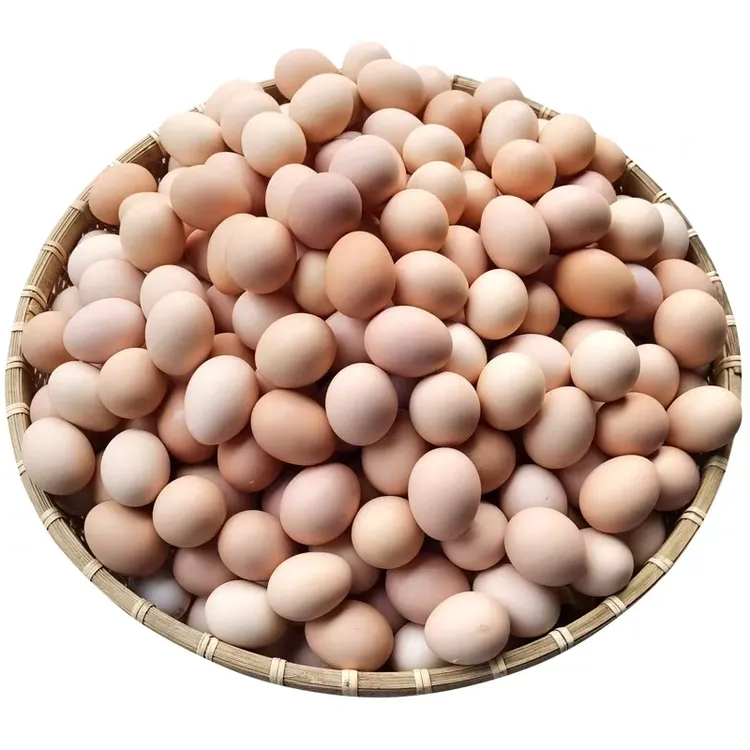 山林散养土鸡蛋新鲜营养可生食无抗无激素农家鲜蛋