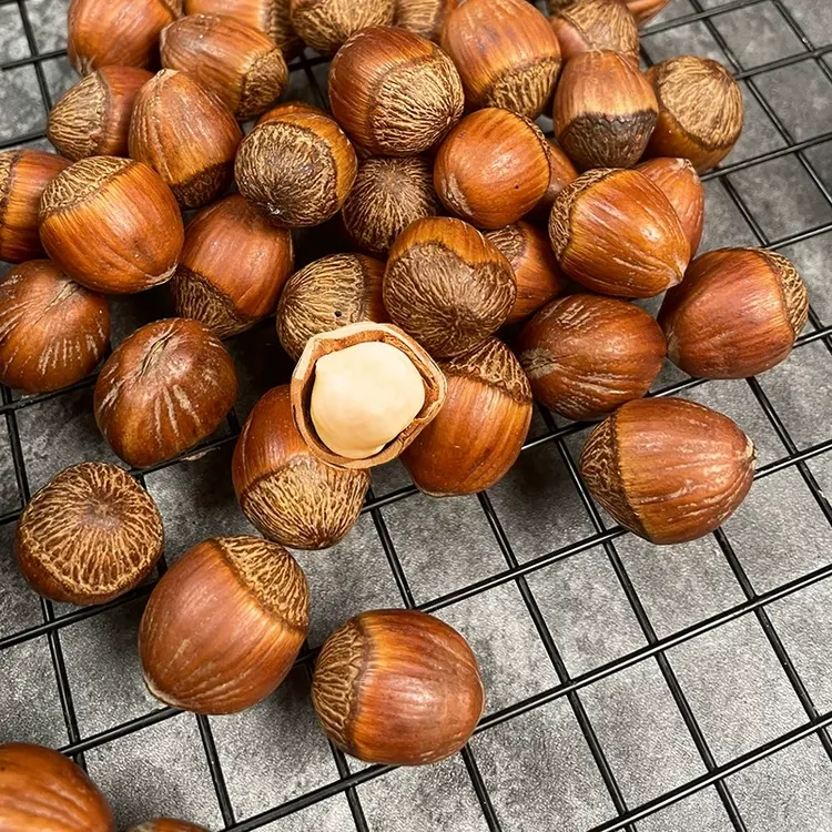 【强哥精选】2025大果榛子新货炒熟不开口自然成熟高端营养坚果