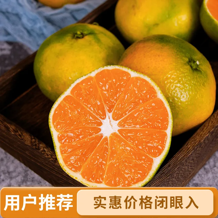 湖北宜昌薄皮蜜橘酸甜多汁无籽桔子孕妇应季水果现摘现发老少皆宜