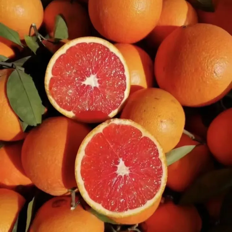 【新鲜采摘】四川塔罗科血橙手剥酸甜可口孕妇冬季水果新鲜水果