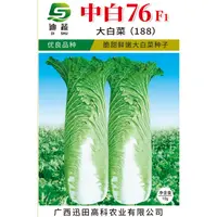 卷筒青白菜种子188*中白76F1大白菜种籽