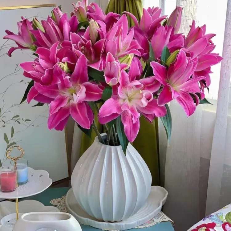 紫莲花重瓣百合鲜切花高级轻奢居家插花装饰云南基地直发顺丰包邮
