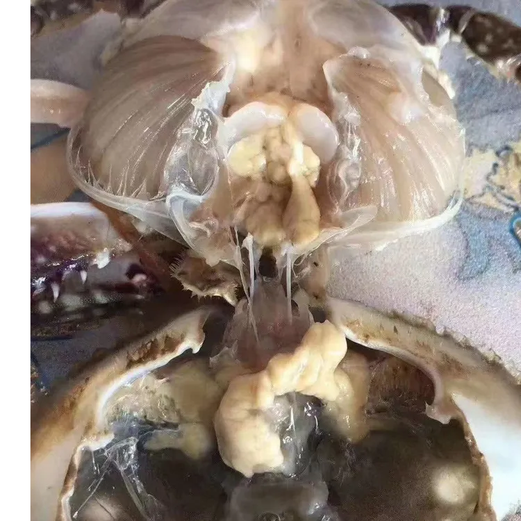 三角咸蟹子 3斤装  生吃即食 不可蒸煮 冷冻保存