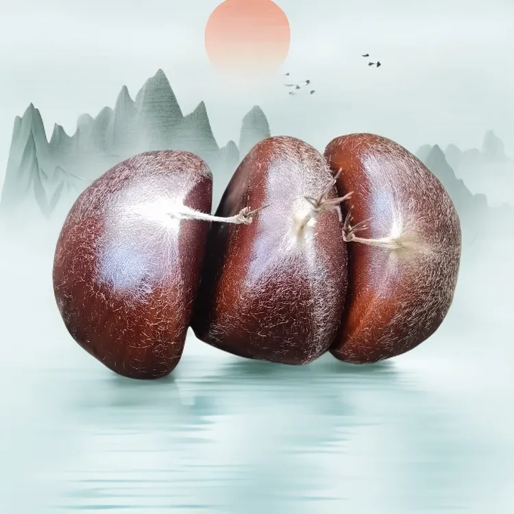 迁西栗子2025【好剥皮】燕山山脉迁西遵化板栗正宗生新鲜香甜粉糯