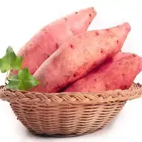 【散】蜜薯约500g±50g/份