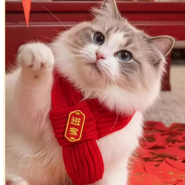 猫咪狗狗新年喜庆红色针织保暖围巾可爱宠物配饰春节