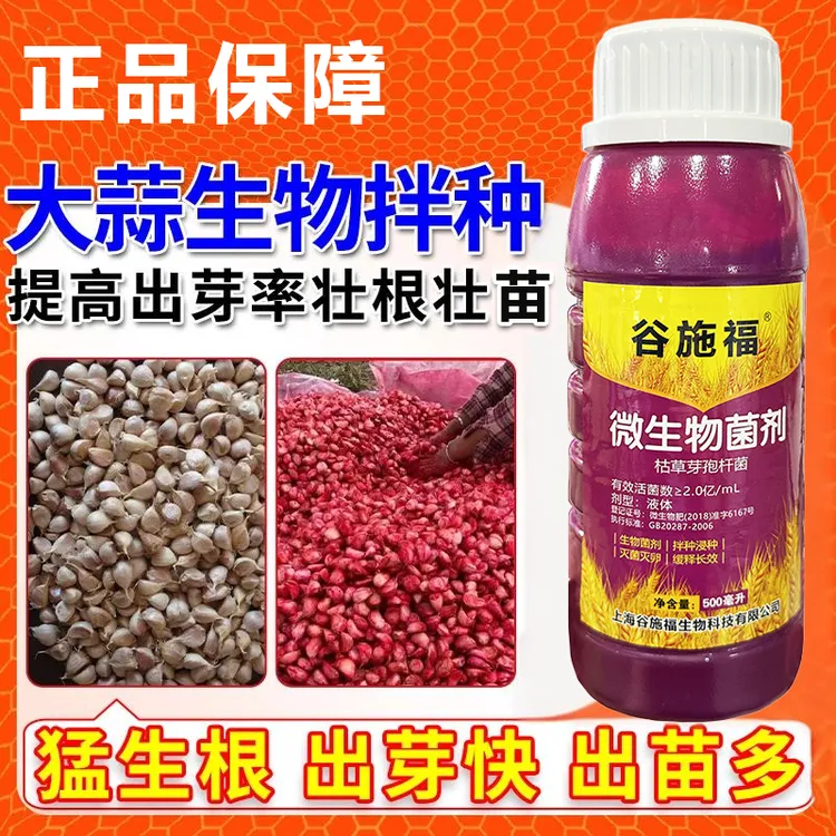 大蒜小麦微生物拌种催芽生根壮苗提高出芽率高产新一代拌种剂