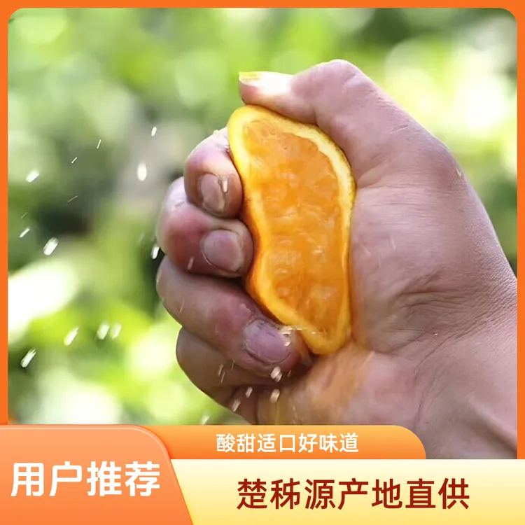 chuziyuan/楚秭源湖北秭归夏橙新鲜橙子应季水果酸甜多汁榨汁橙
