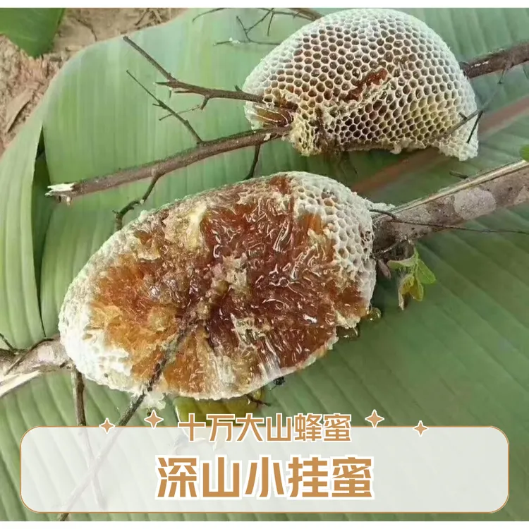 正宗深山蜂蜜百花蜜广西大山自采无添加
