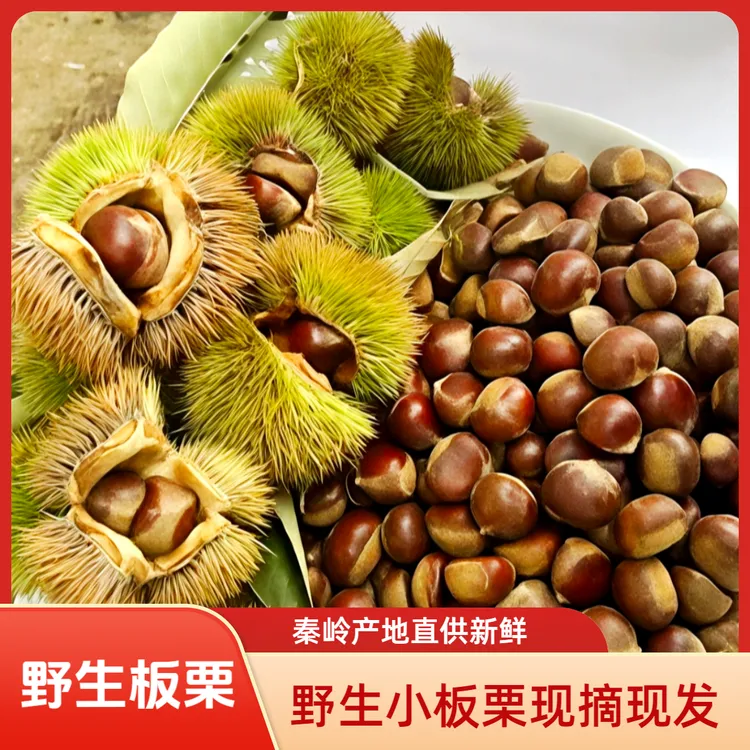 秦岭野生小板栗生板栗口感软糯香甜产地新鲜直供孕妈宝宝爱吃