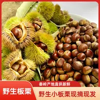 秦岭野生小板栗口感软糯香甜产地新鲜直供孕妈宝宝爱吃