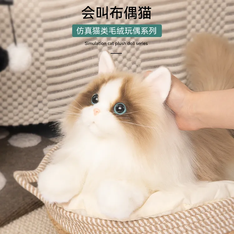 美国卡豆仿真会叫的艾米布偶猫毛绒玩具猫咪送孩子送仿真毛绒玩具