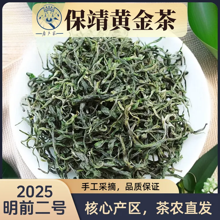 保靖黄金茶2025明前二号茶黄金茶高山云雾核心产区浓香鲜爽叶绿茶