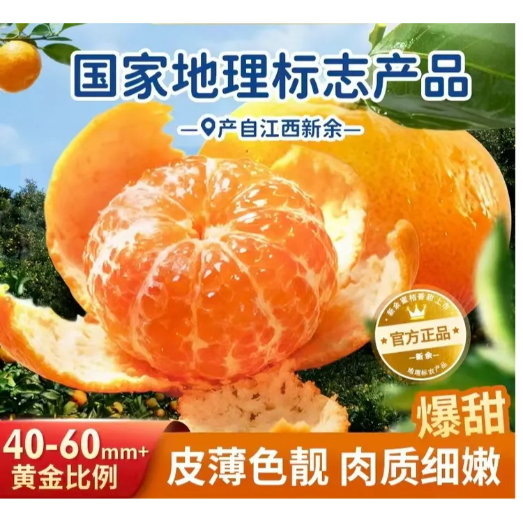 【顺丰包邮 送货上门】新余蜜桔源头直发新鲜水果皮薄肉厚老少皆宜