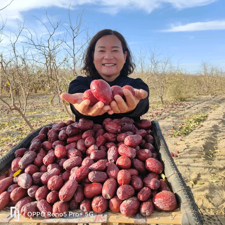 新疆和田大枣（三级小光头）自然吊干核小皮薄枣香浓郁超好吃