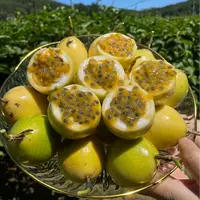【双福翠宝宝】钦蜜九号百香果 新鲜多汁 风味十足 只发川渝