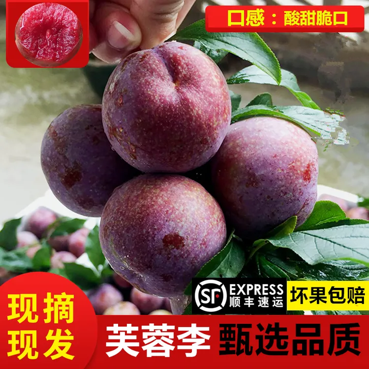 【品质果】新鲜福建芙蓉李三华李红心李水果酸脆甜脆口产地李子水果