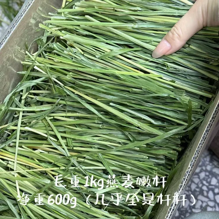 燕麦嫩杆*1箱毛重1kg（几乎都是杆杆）|兔子豚鼠荷兰猪草营养丰富