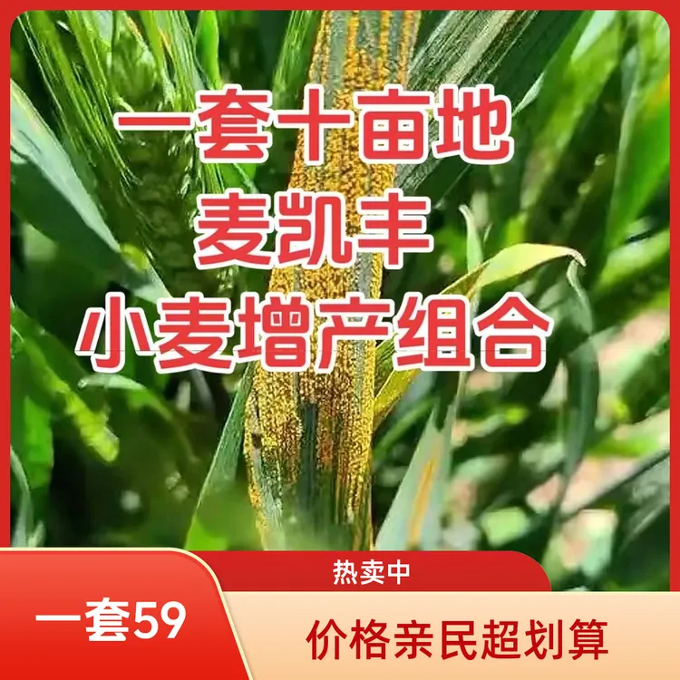 麦凯丰 一套十亩小麦增产组合适用于返青期拔节期孕穗扬花期