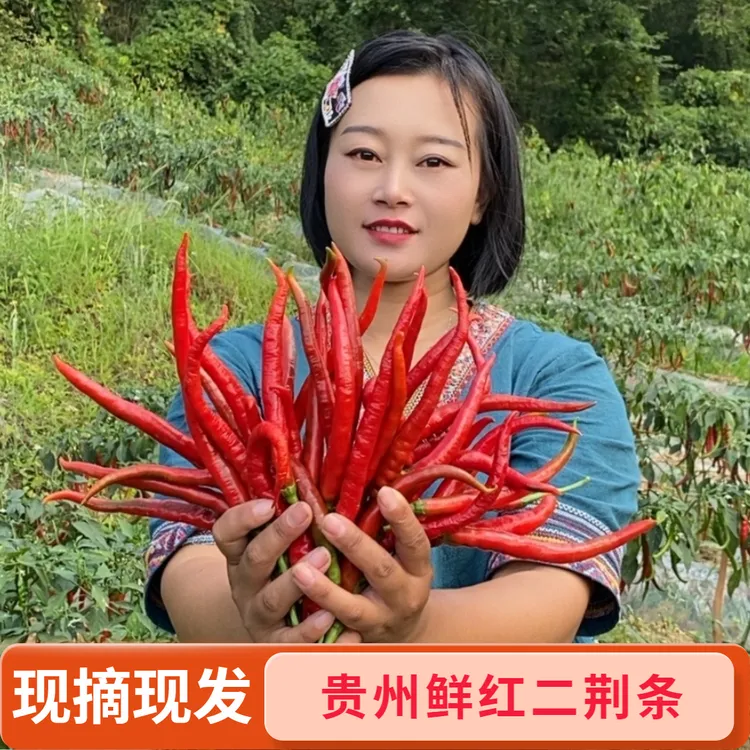 二荆条【农品鲜臻选】贵州农户辣椒高山露天种植自然健康美味香辣