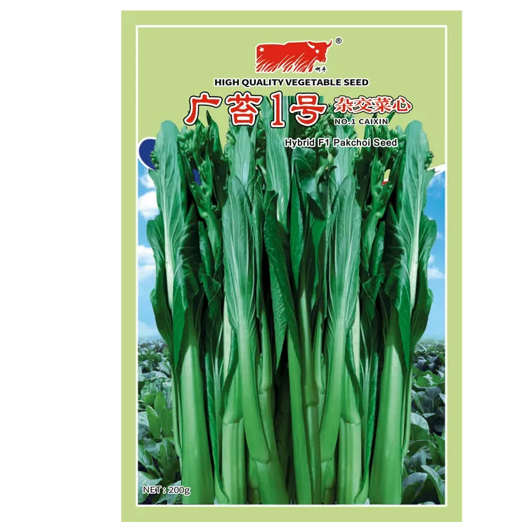 广苔1号杂交芥菜菜心四季种子