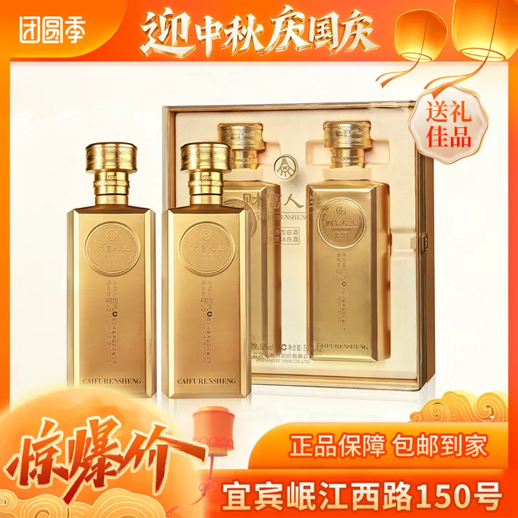 財富人生五粮液股份出品 金砖双支礼盒 浓香型白酒52度500ml