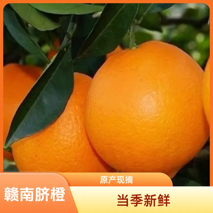 【顺丰包邮赣南脐橙果园直供】当季新鲜水果原产地现摘现发橙子