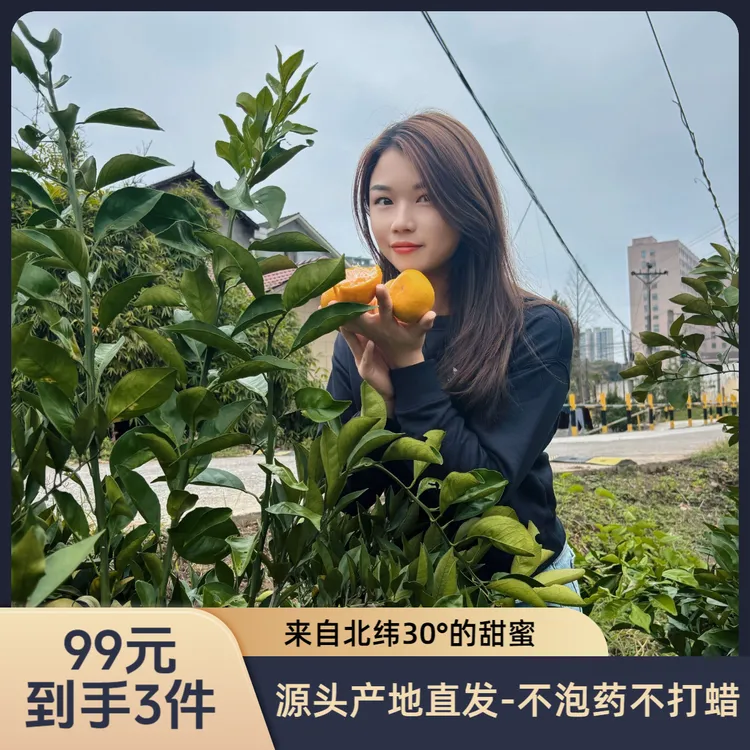 石门蜜桔柑橘柑子3件9斤装商超品质酸甜多汁入口化渣产地直发橘子