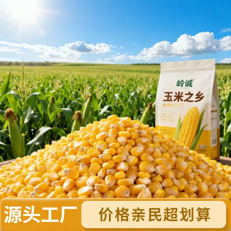 鸽粮玉米 宠物饲料 鸟粮 精选优质小颗粒玉米无杂质20斤装