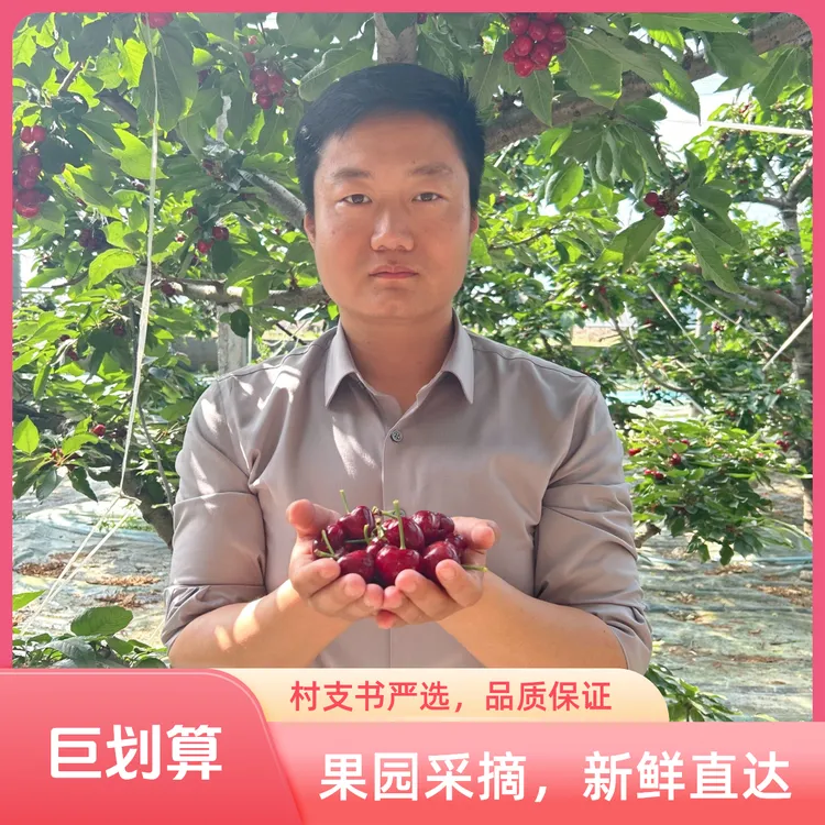 【王书记严选】山旺美早大樱桃顺丰空运2-5斤4J应季脆甜 内附果径卡