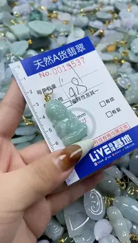 【闪购商品】翡翠颈饰未镶嵌天然A货翡翠