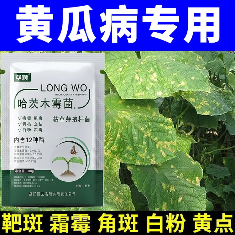 黄瓜专用微生物菌剂防枯萎黄点病角斑病霜霉病不开花抗病增产肥料