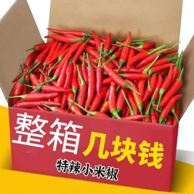 【限量抢5斤】特辣新鲜小米椒巨辣朝天椒指天椒批发全红小米辣剁椒