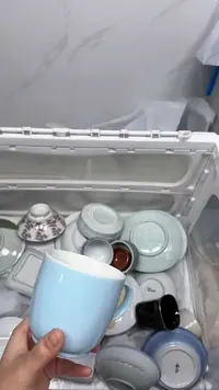 【闪购商品】880回流瓷器默认微瑕，18.8包邮
