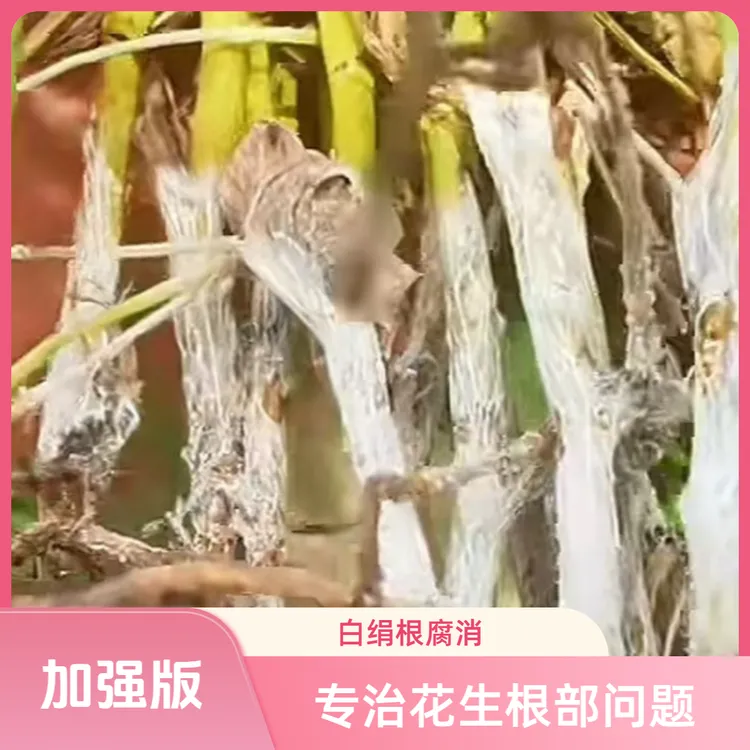 适用于花生根部问题解决方案叶面肥水溶肥料