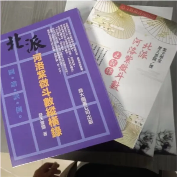 北派河洛紫微斗数纵横录与止观录经典书籍