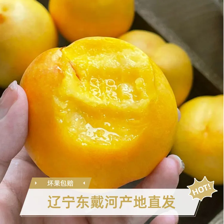 【辽宁东戴河】红心黄油桃黄桃丑桃子油桃杏梅果新鲜水果孩子爱吃